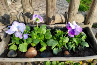 Aroma Roche sur France Bleu Berry